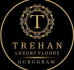 trehan logo
